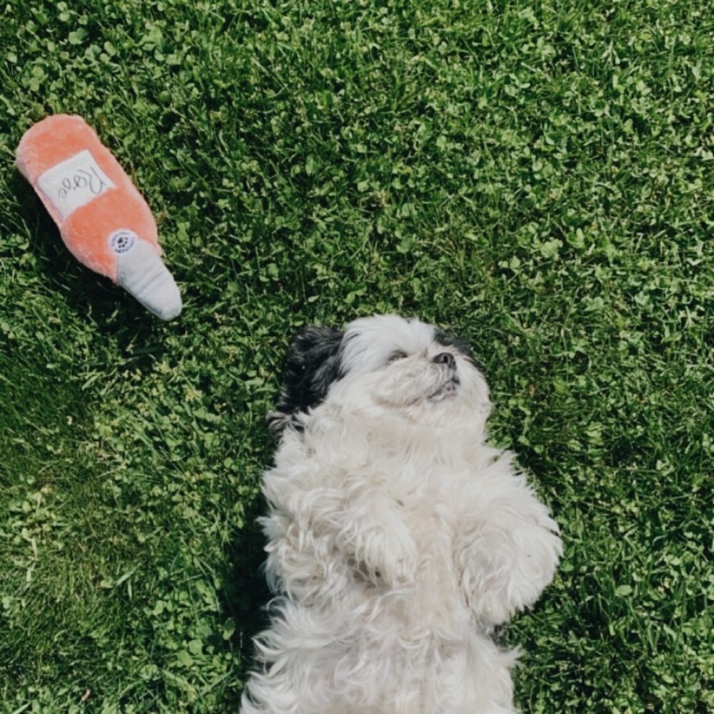 Meet your Posher, Danekqua